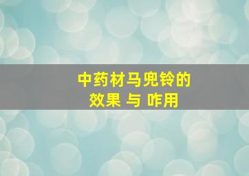 中药材马兜铃的效果 与 咋用